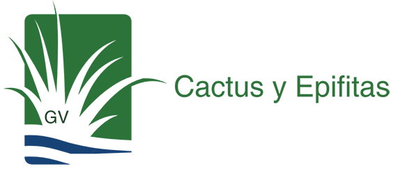 cactusyepifitasgv